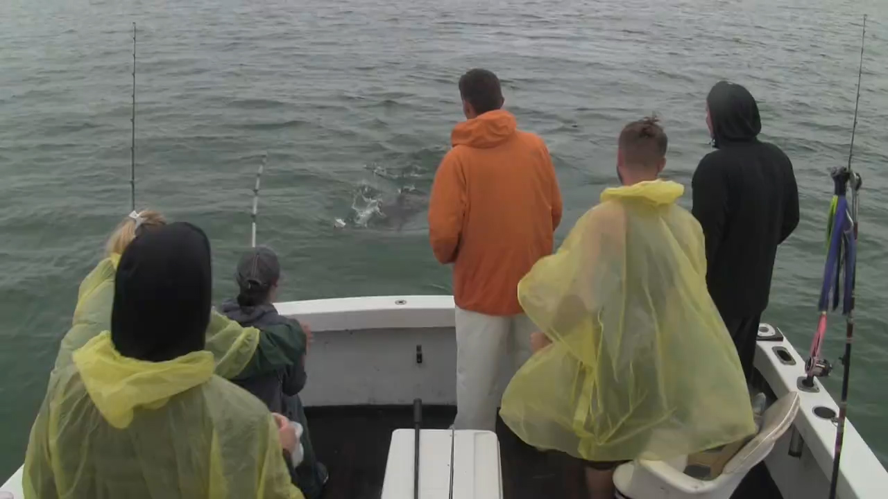 페이스북 영상 캡처