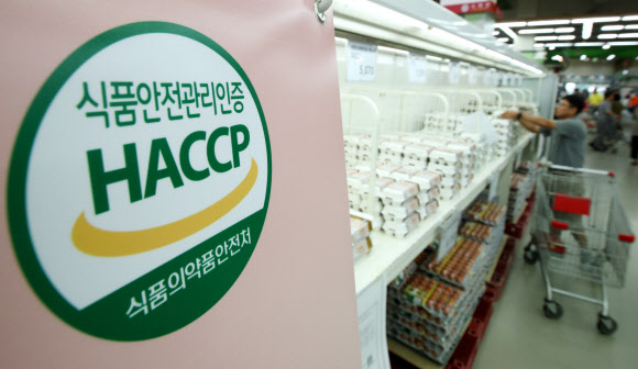 20일 서울 시내 한 대형마트 계란 판매대 앞에 식품안전관리인증(HACCP·해썹) 팻말이 크게 내걸려 있다. 연합뉴스