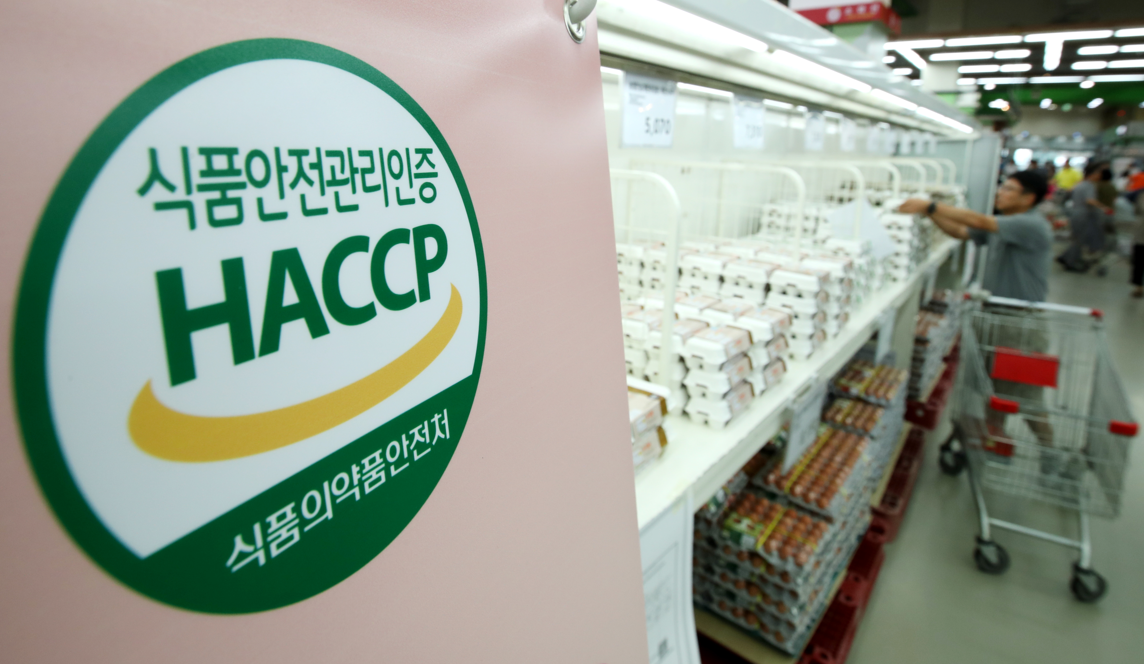 못 믿을 ’해썹(HACCP)’…살충제 계란농장 59%에 인증
