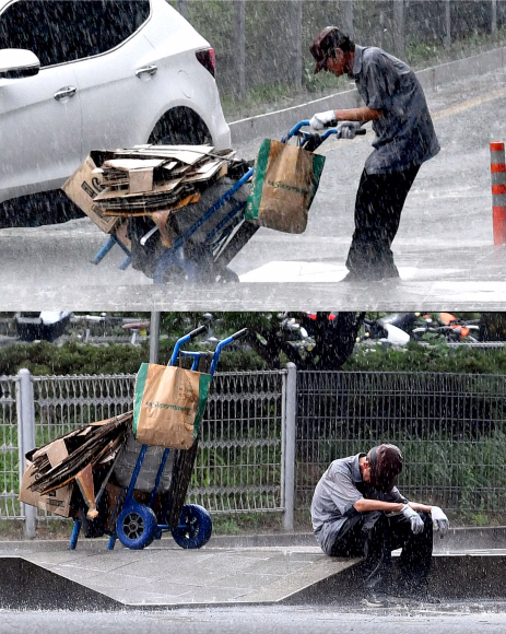 175회 이달의 보도사진상 수상작