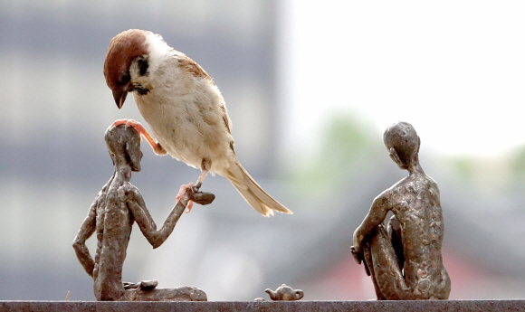 175회 이달의 보도사진상 수상작