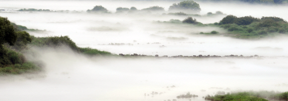 175회 이달의 보도사진상 수상작