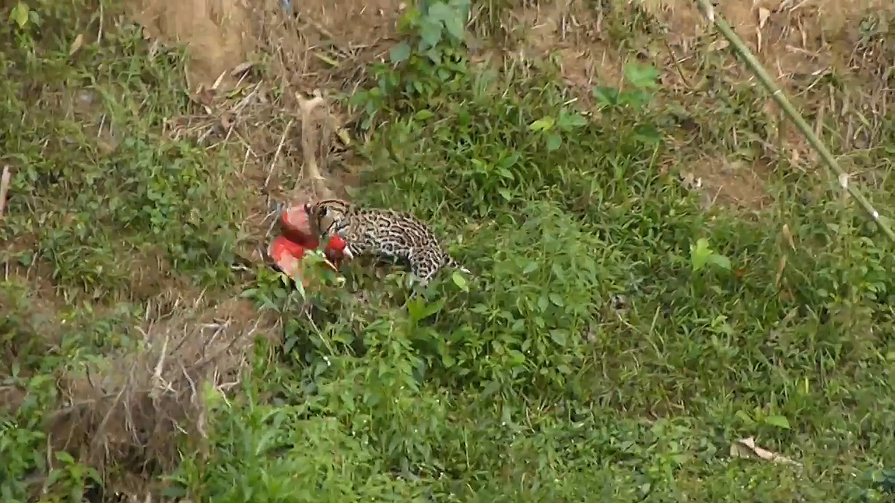 유튜브 영상 캡처