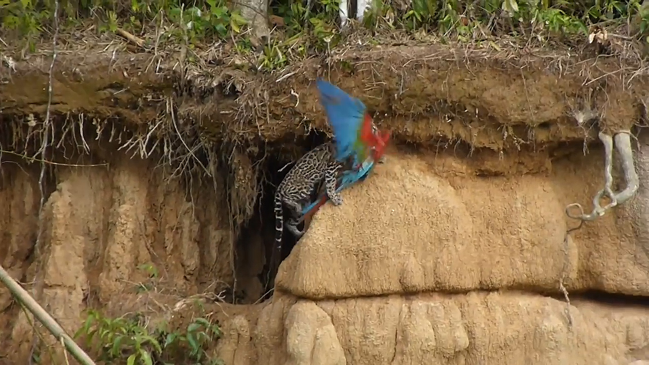 유튜브 영상 캡처