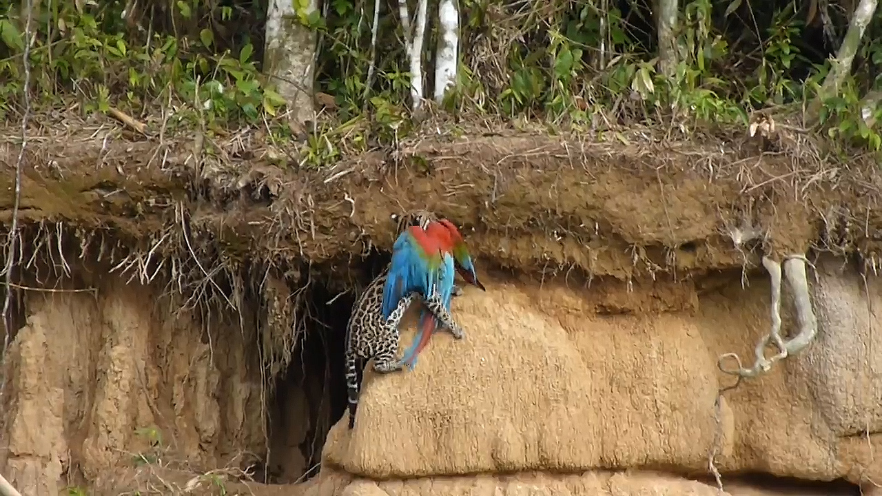 유튜브 영상 캡처