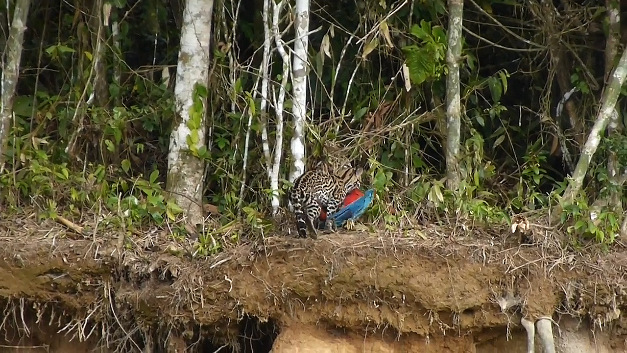 유튜브 영상 캡처