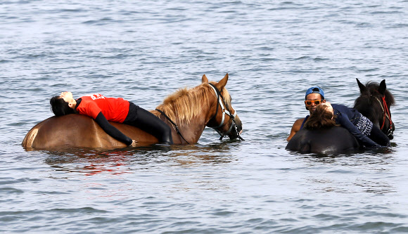 25일(현지시간) 일본 도쿄(東京) 미우라의 Horse Trekking Farm Miurakaigan 트래킹 투어에 참여해 바닷물 속으로 들어가 말을 타며 휴식을 취하고 있다. AP 연합뉴스