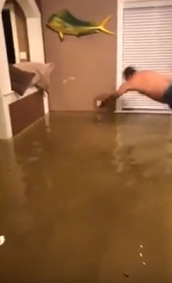 Viviana Saldana Twitter / Storyful News youtube