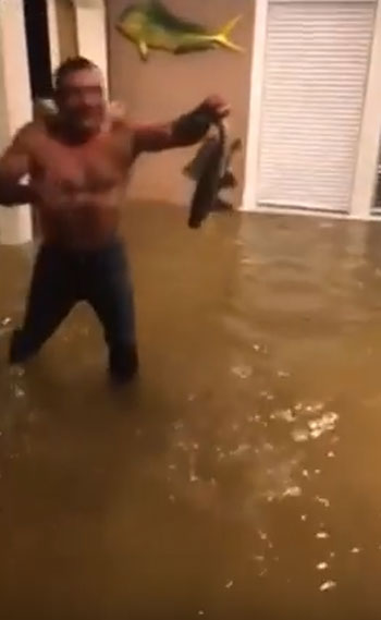 Viviana Saldana Twitter / Storyful News youtube