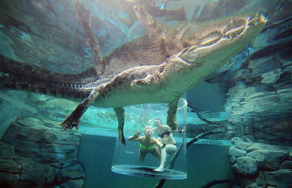 Crocosaurus Cove
