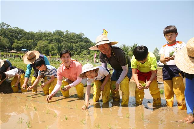 지난해 5월 이해식 강동구청장이 상일동 공동체 텃밭에서 주민들과 모내기를 하고 있다. <br>강동구 제공