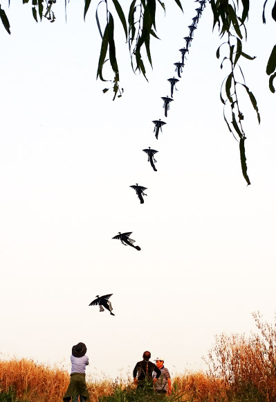 다산문화제에 떠오른 리기태 명장의 ‘삼족오 창작줄연’
