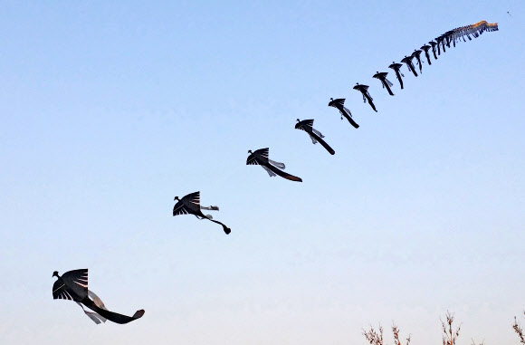 다산문화제에 떠오른 리기태 명장의 ‘삼족오 창작줄연’