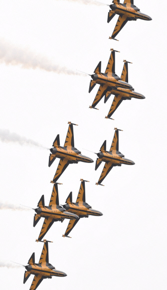 제4회 항공레저스포츠제전, 블랙이글스의 에어쇼