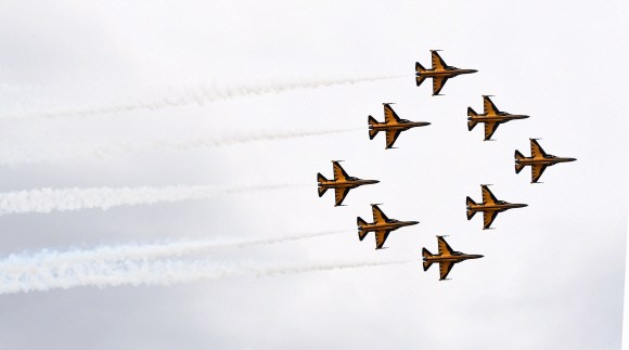 제4회 항공레저스포츠제전, 블랙이글스의 에어쇼