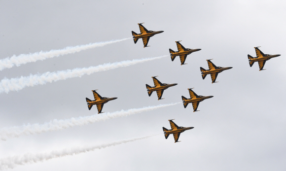 제4회 항공레저스포츠제전, 블랙이글스의 에어쇼