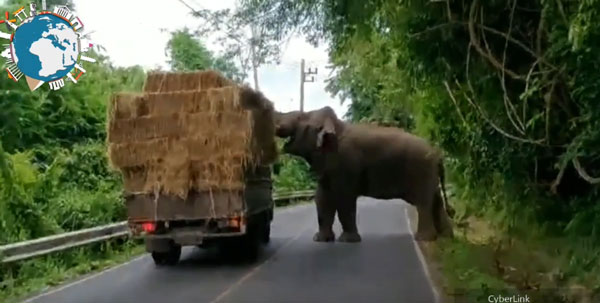 worldstore videosTv youtube