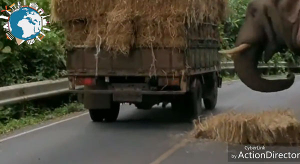 worldstore videosTv youtube