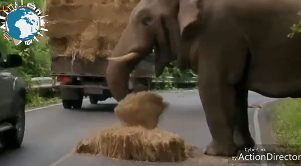 worldstore videosTv youtube