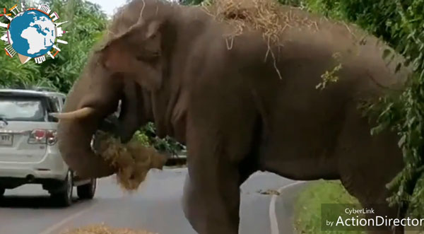 worldstore videosTv youtube