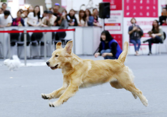 ’주인을 향해 출발’