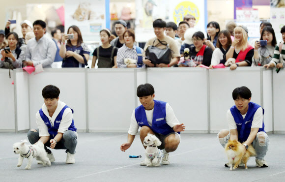 ’주인을 향해 출발’