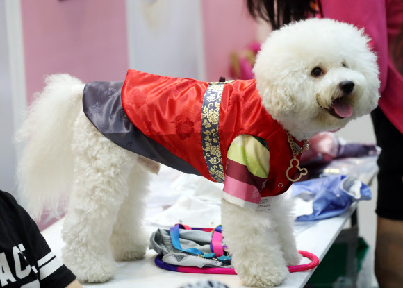 ’한복 잘 어울리나요?’