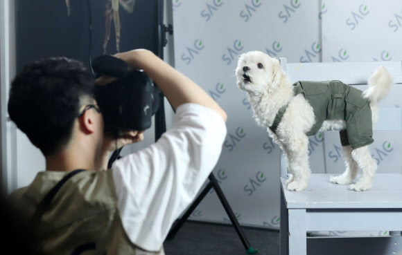 ’모델 같지 않나요?’