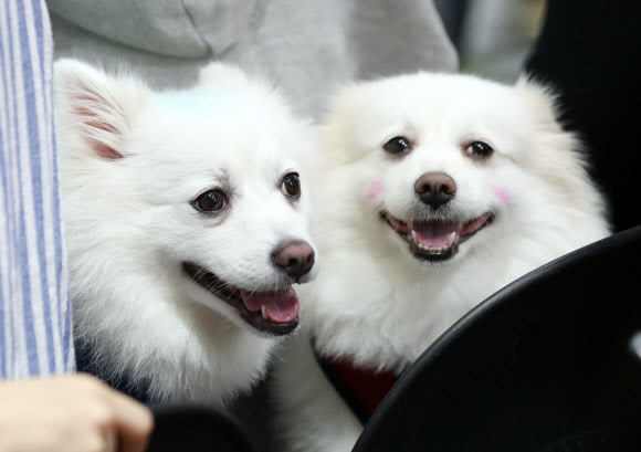 ’우리 화장했어요’