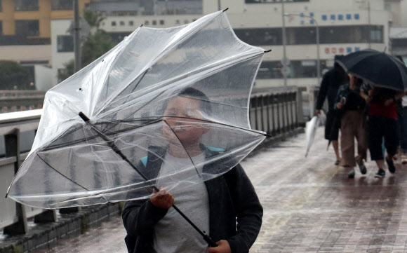 한 소년이 17일(현지시간) 일본 도쿄 후지사와 에노시마섬에서 태풍의 영향으로 거센 비바람 속에 우산이 날아가지 않게 조심하며 힘들게 다리를 건너가고 있다. AP 연합뉴스
