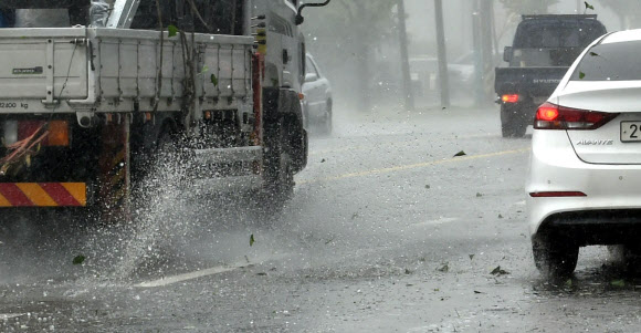 우박 맞은 사과