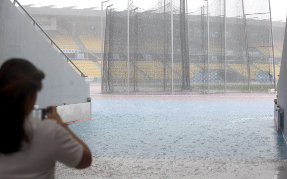 우박 맞은 사과