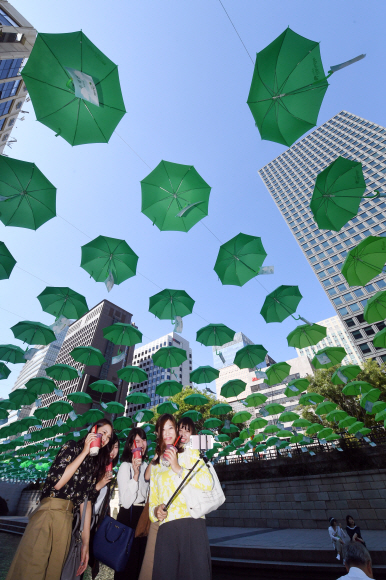 초록우산 쓰고 ‘찰칵’