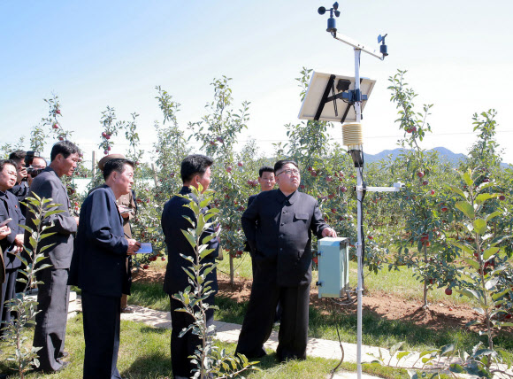 과일군 시찰 나선 북한 김정은