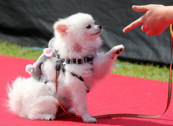 ’가위 바위 보’