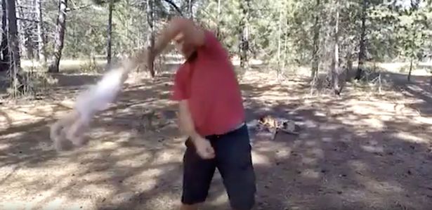 유튜브 영상 캡처