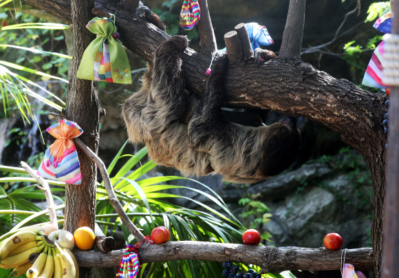 ’추석 특식도 귀찮아’