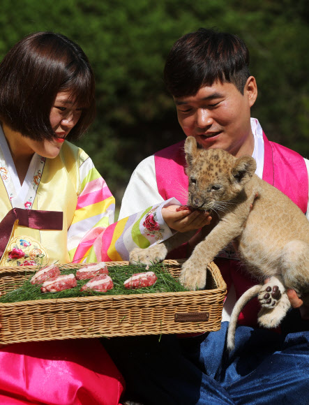 추석 특식 맛있어요