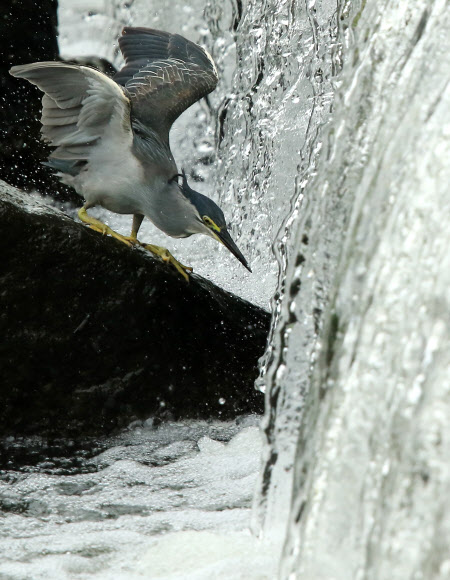 잠복해서 은밀하게