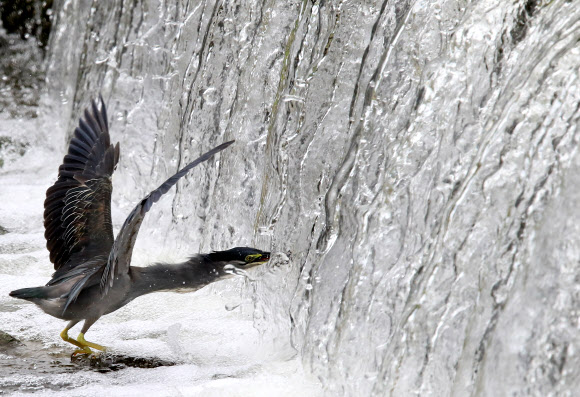 잠복해서 은밀하게