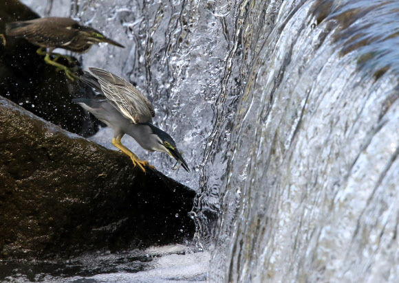 잠복해서 은밀하게