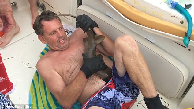 유튜브 영상 캡처. Newsflare Clips.