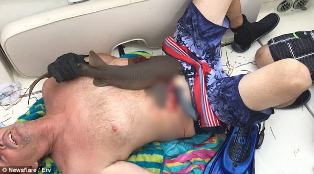 유튜브 영상 캡처. Newsflare Clips.