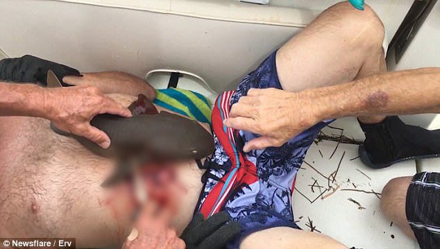 유튜브 영상 캡처. Newsflare Clips.