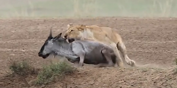 유튜브 채널 캡처