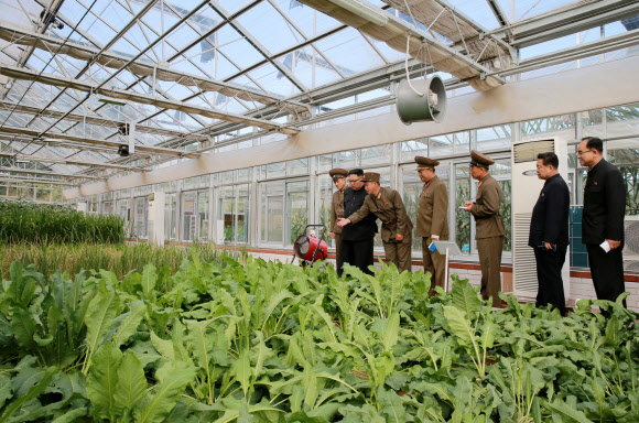 북한 김정은, 농장 현지지도