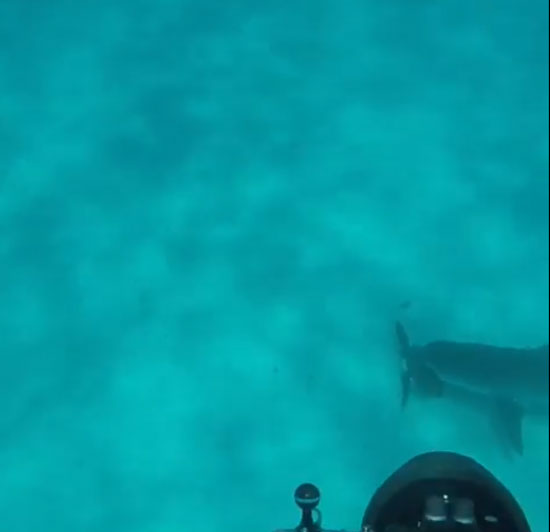 Storyful Rights Management youtube