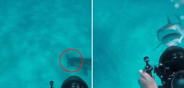 Storyful Rights Management youtube