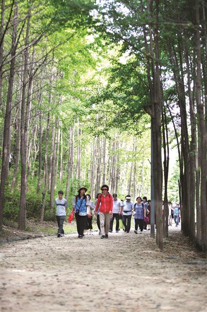 가을 정취를 풍기는 서울 성동구 서울숲 은행나무길을 미래투어 참가자들이 걷고 있다.