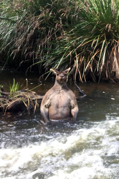 Jackson Vincent Facebook